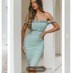 NWT selfie leslie dress